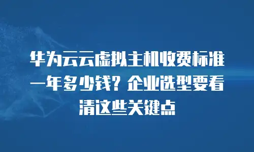华为云云虚拟主机收费标准一年多少钱？企业选型要看清这些关键点
