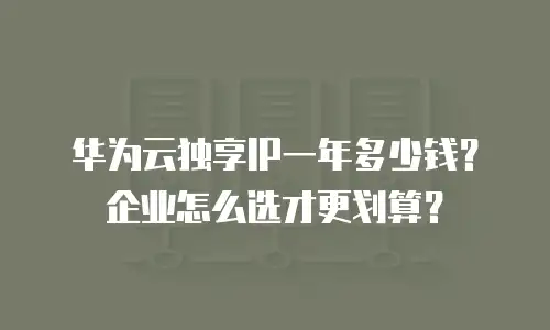 华为云独享IP一年多少钱？企业怎么选才更划算？