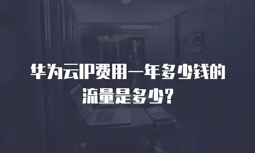 华为云IP费用一年多少钱的流量是多少？