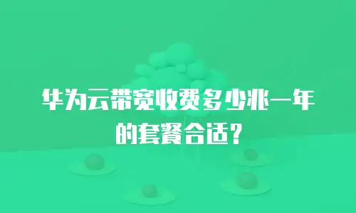 华为云带宽收费多少兆一年的套餐合适？