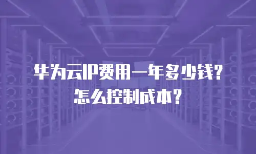 华为云IP费用一年多少钱？怎么控制成本？
