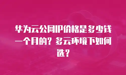 华为云公网IP价格是多少钱一个月的？多云环境下如何选？