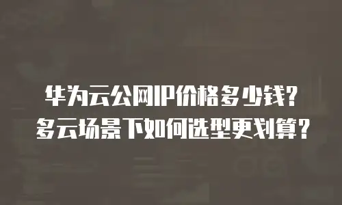 华为云公网IP价格多少钱？多云场景下如何选型更划算？
