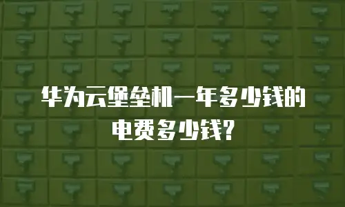 华为云堡垒机一年多少钱的电费多少钱？