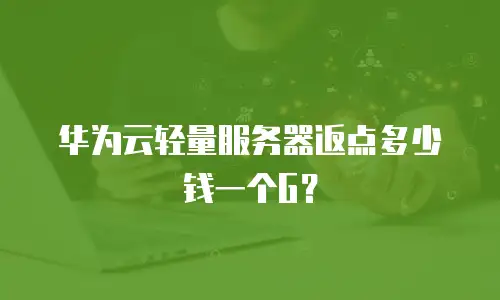 华为云轻量服务器返点多少钱一个G？