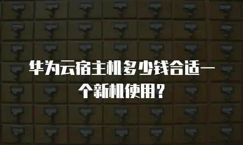 华为云宿主机多少钱合适一个新机使用？
