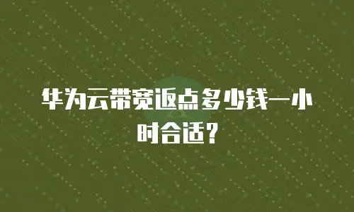 华为云带宽返点多少钱一小时合适？