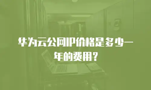 华为云公网IP价格是多少一年的费用？