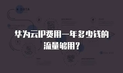 华为云IP费用一年多少钱的流量够用？