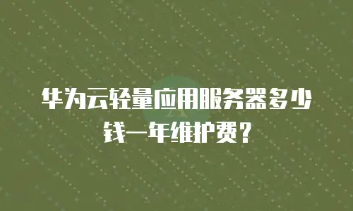 华为云轻量应用服务器多少钱一年维护费？