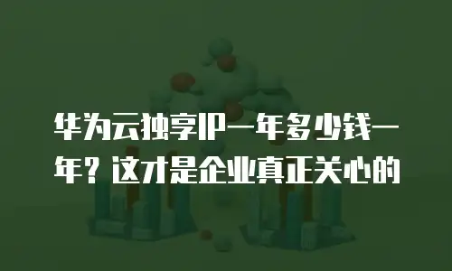 华为云独享IP一年多少钱一年？这才是企业真正关心的