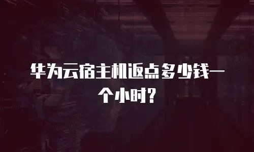 华为云宿主机返点多少钱一个小时？