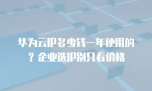华为云IP多少钱一年使用的？企业选IP别只看价格