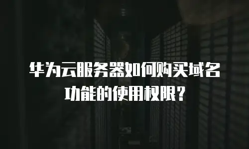 华为云服务器如何购买域名功能的使用权限？