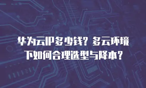 华为云IP多少钱？多云环境下如何合理选型与降本？
