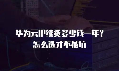 华为云IP续费多少钱一年？怎么选才不被坑