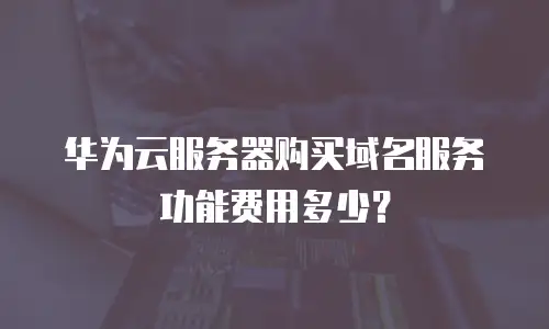 华为云服务器购买域名服务功能费用多少？