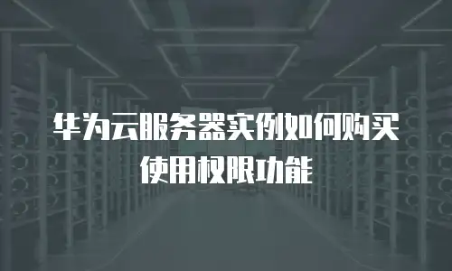 华为云服务器实例如何购买使用权限功能