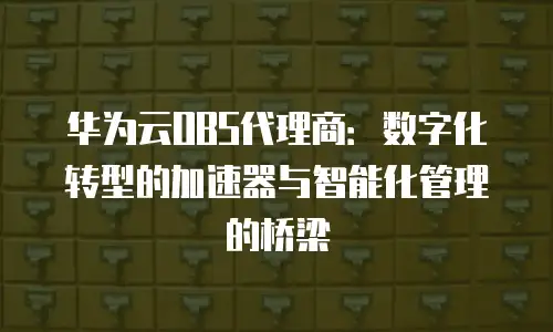 华为云OBS代理商：数字化转型的加速器与智能化管理的桥梁