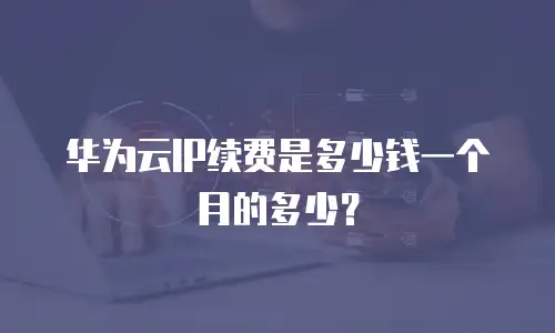 华为云IP续费是多少钱一个月的多少？