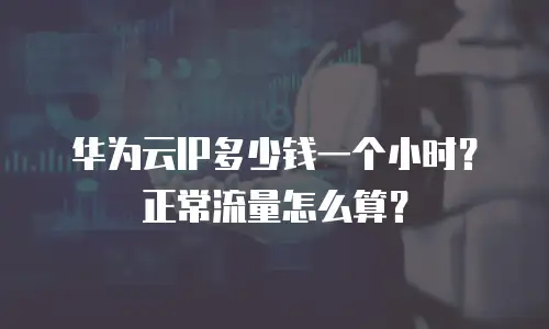 华为云IP多少钱一个小时？正常流量怎么算？