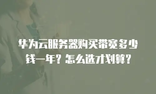 华为云服务器购买带宽多少钱一年？怎么选才划算？