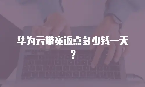 华为云带宽返点多少钱一天？