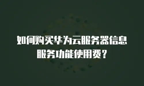 如何购买华为云服务器信息服务功能使用费？