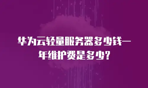 华为云轻量服务器多少钱一年维护费是多少？
