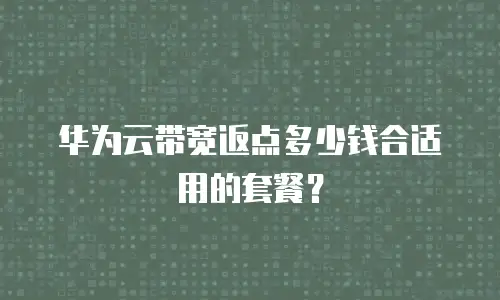 华为云带宽返点多少钱合适用的套餐？