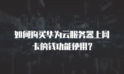 如何购买华为云服务器上网卡的钱功能使用？