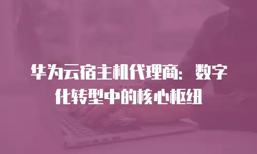 华为云宿主机代理商：数字化转型中的核心枢纽