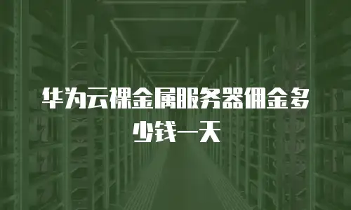 华为云裸金属服务器佣金多少钱一天