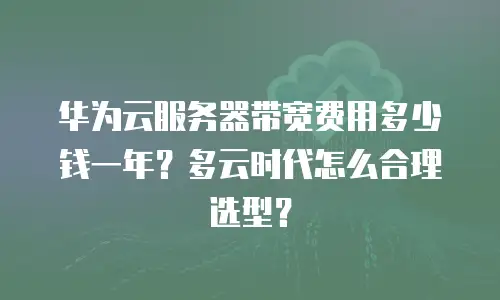 华为云服务器带宽费用多少钱一年？多云时代怎么合理选型？