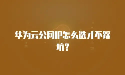 华为云公网IP怎么选才不踩坑？