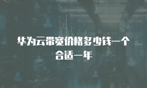 华为云带宽价格多少钱一个合适一年