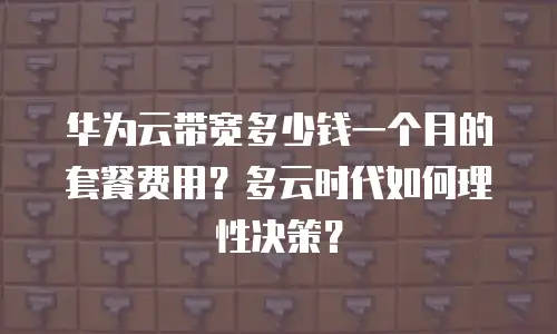 华为云带宽多少钱一个月的套餐费用？多云时代如何理性决策？