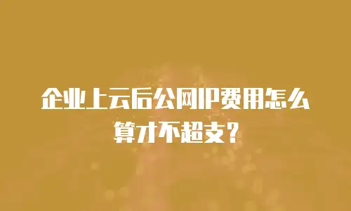 企业上云后公网IP费用怎么算才不超支？