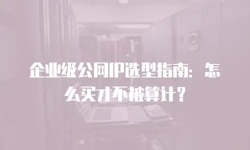 企业级公网IP选型指南：怎么买才不被算计？