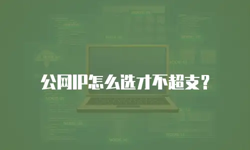 公网IP怎么选才不超支？
