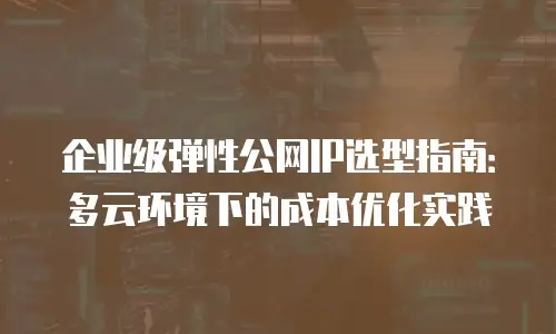 企业级弹性公网IP选型指南：多云环境下的成本优化实践