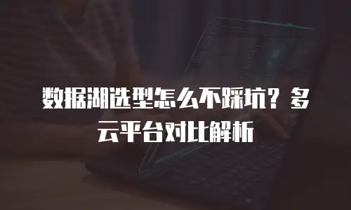 数据湖选型怎么不踩坑？多云平台对比解析