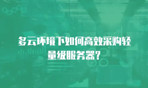 多云环境下如何高效采购轻量级服务器？