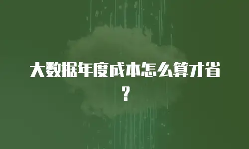 大数据年度成本怎么算才省？