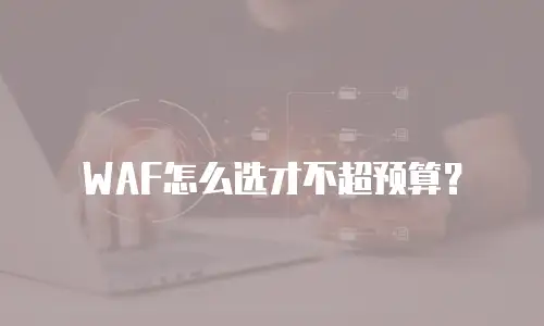 WAF怎么选才不超预算？