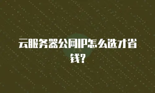 云服务器公网IP怎么选才省钱？
