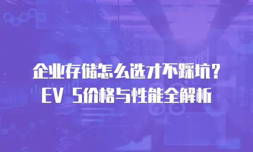 企业存储怎么选才不踩坑？EV S价格与性能全解析