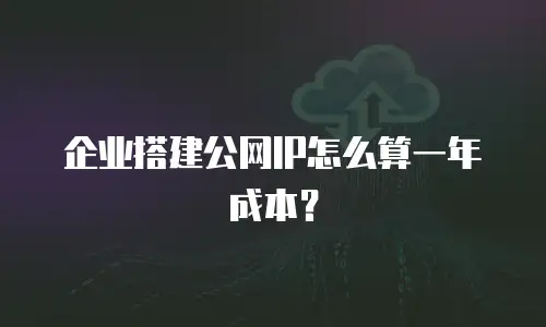 企业搭建公网IP怎么算一年成本？