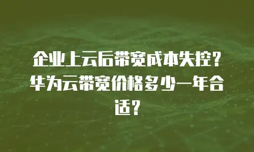 企业上云后带宽成本失控？华为云带宽价格多少一年合适？