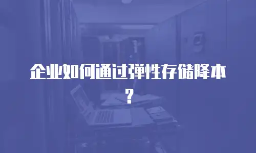 企业如何通过弹性存储降本？